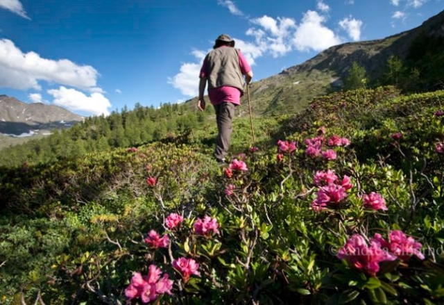  Explorar Y Caminar 